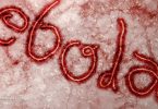 Ebola-Virus-Word-Shapes