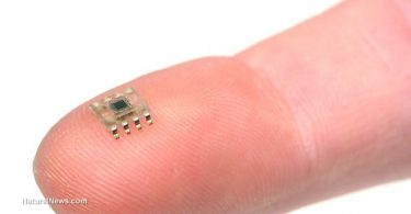 Microscopic-Tiny-Computer-Microchip