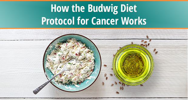 budwig diet protocol cancer