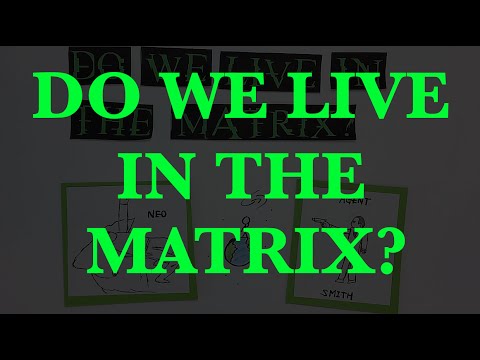 matrix we live in