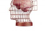 free mind icke